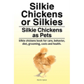Silkie Chickens or Silkies. Silkie Chickens as Pets. Silkie chickens book for care, behavior, diet, grooming, costs and health.