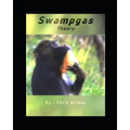 Swampgas Theory