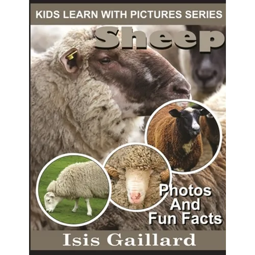 Sheep: Photos and Fun Facts for Kids