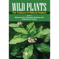 Wild Plants: The Treasure of Natural Healers