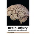 Brain Injury: Pathogenesis and Observations
