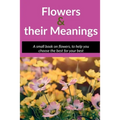 Flowers and their meanings