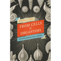 From Cells to Organisms: Re-envisioning Cell Theory