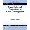 Stem Cells and Progenitors in Liver Development