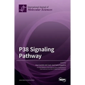 P38 Signaling Pathway