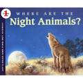 Where Are the Night Animals?
