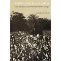 White Land, Black Labor: Caste and Class in Late Nineteenth-Century Georgia