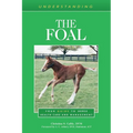 Understanding the Foal: Your Guide to Horse Health Care and Management