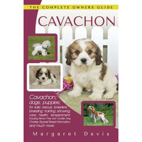 Cavachon