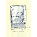 Liquid Modernity