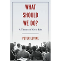 What Should We Do?: A Theory of Civic Life