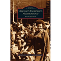 Chicago's Englewood Neighborhood: At the Junction