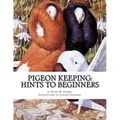 Pigeon Keeping: Hints To Beginners