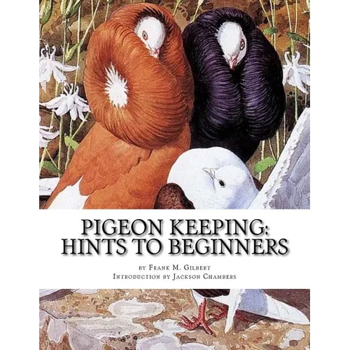 Pigeon Keeping: Hints To Beginners