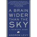 Brain Wider Than the Sky: A Migraine Diary