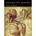 Constructive Anatomy