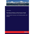 The Natural History of the Human Teeth: Explaining their structure, use, formation, growth, and diseases