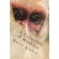 A Collection of Monkeys