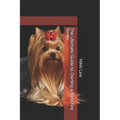 The Ultimate Guide to Owning a Yorkshire Terrier