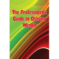 The Professional's Guide to Chasing Wealth: What You Should Understand Before Pursuing Wealth
