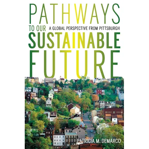 Pathways to Our Sustainable Future: A Global Perspective from Pittsburgh