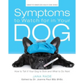 Symptoms to Watch for in Your Dog: How to Tell if Your Dog Is Sick and What to Do Next