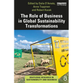 The Role of Business in Global Sustainability Transformations