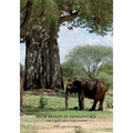 Bror Blixen in Tanganyika: Big Game and Volcanoes