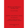 The Iron Age Settlement at 'Ain Dara, Syria: Survey and Soundings
