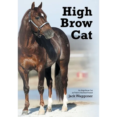 High Brow Cat