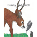 Bunny and Buck