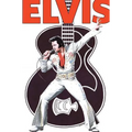 Rock and Roll Comics: Elvis Presley Experience: Special Hard Cover Edition
