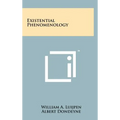 Existential Phenomenology
