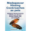 Madagascar hissing cockroaches as pets. Madagascar hissing cockroach book for pros and cons, housing, keeping, diet, care and health.