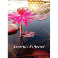 Auroville Reflected