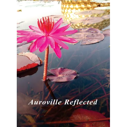 Auroville Reflected
