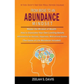 From Broke to an Abundance Mindset: If You Don't Try You Will Never Change