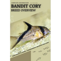 Bandit Cory: From Novice to Expert. Comprehensive Aquarium Fish Guide