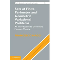 Sets of Finite Perimeter and Geometric Variational Problems