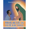 Miracle in Tepeyac Hill