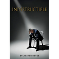 Indestructible: A Love Story