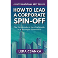 How to Lead a Corporate Spin-Off: The Tech Leader's Survival Guide to a Strategic Divestiture