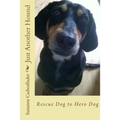 Just Another Hound: Rescue Dog to Hero Dog