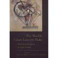 The Worlds Cause Lawyers Make: Structure and Agency in Legal Practice