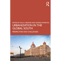 Urbanization in the Global South: Perspectives and Challenges
