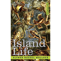 Island Life