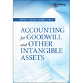 Accounting for Goodwill and Other Intangible Assets