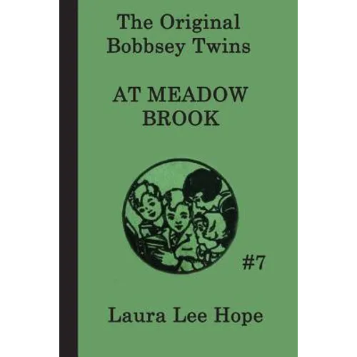 The Bobbsey Twins at Meadow Brook