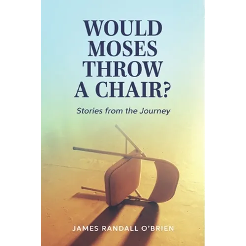 Would Moses Throw a Chair?: Stories from the Journey