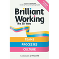 Brilliant Working the 3D Way: Continuous improvement for working teams, processes and culture